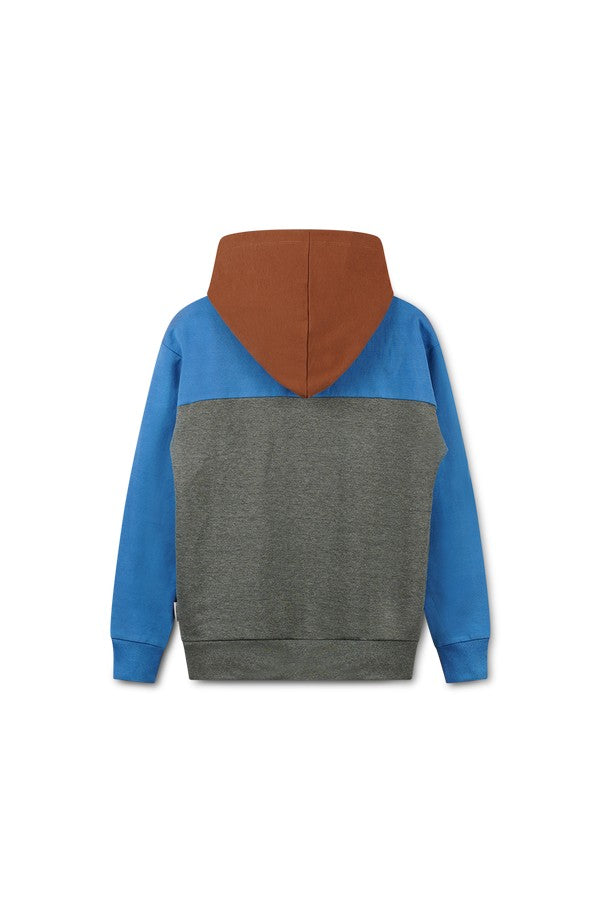 Tricolor hoodie