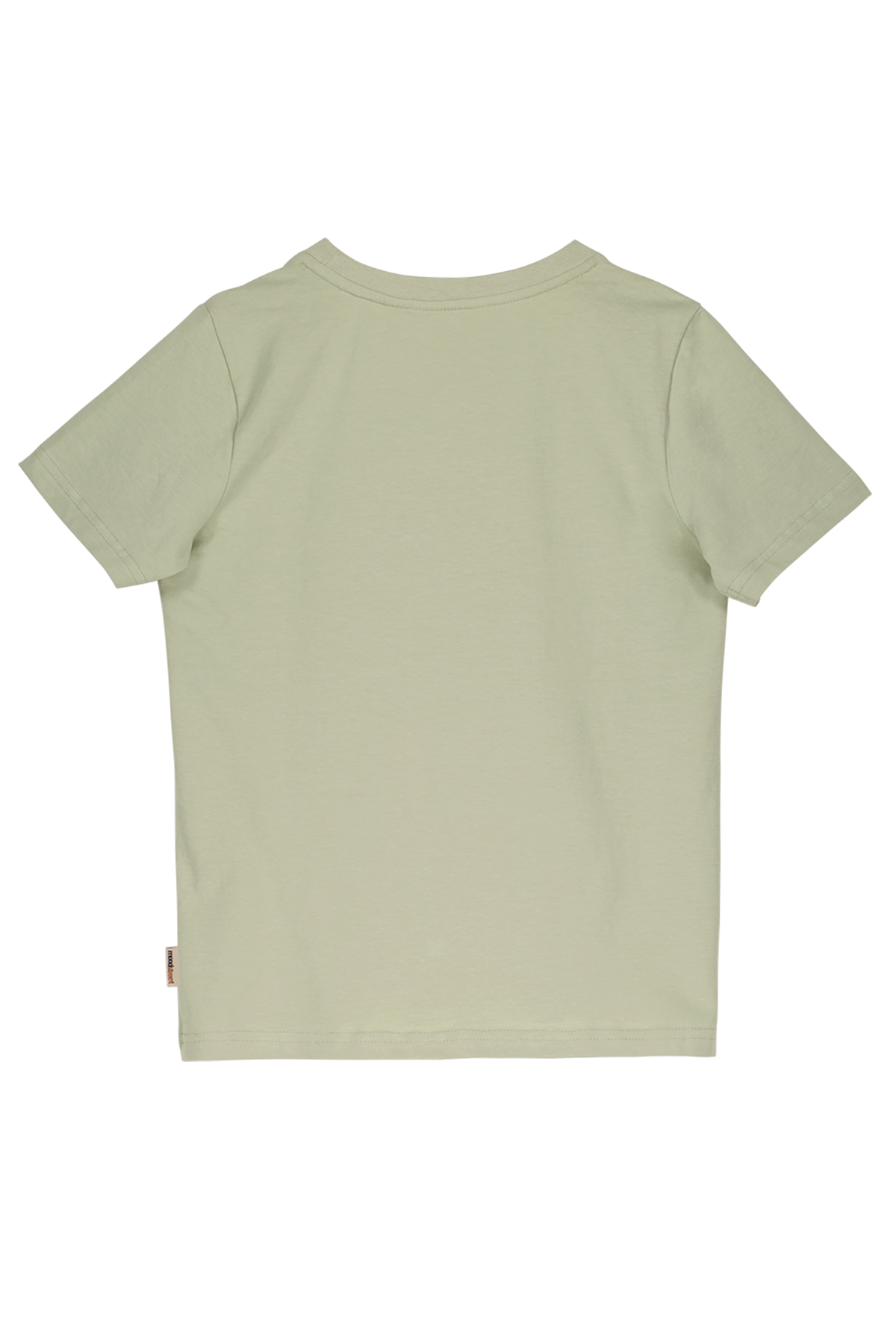 Boys t-shirt misty green