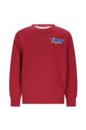 SIMON race-car sweater -bordeaux-